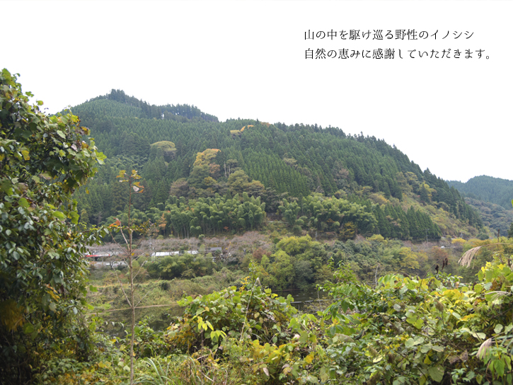上津江の山の風景