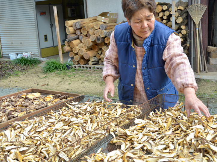 天日仕上げ中の松崎さん