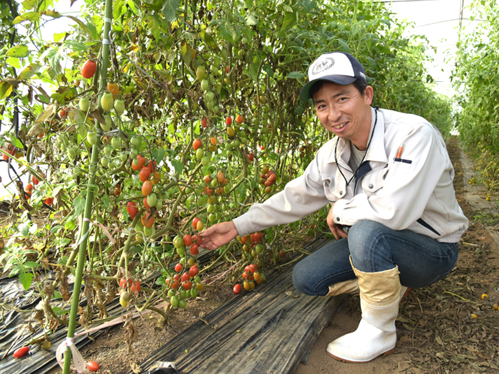 ハウス内での木下さん