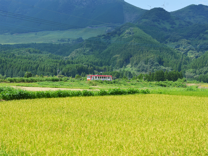 圃場周りの南阿蘇の風景