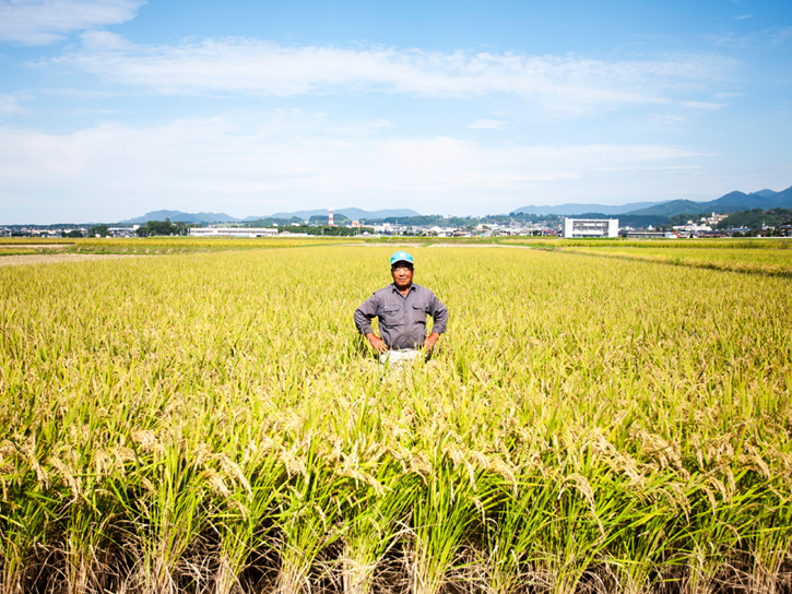 宮川さん自然もち米の圃場