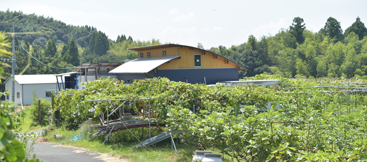 美しい自然が残る、木村さんの圃場周辺の風景