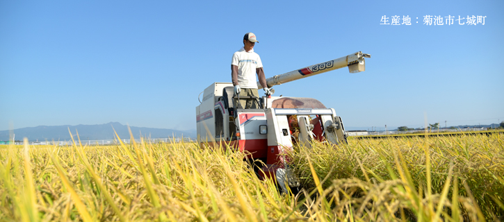 「冨田自然米の」生産地の菊池市七城町の写真