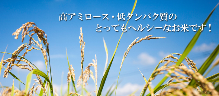 低タンパク・高アミロース