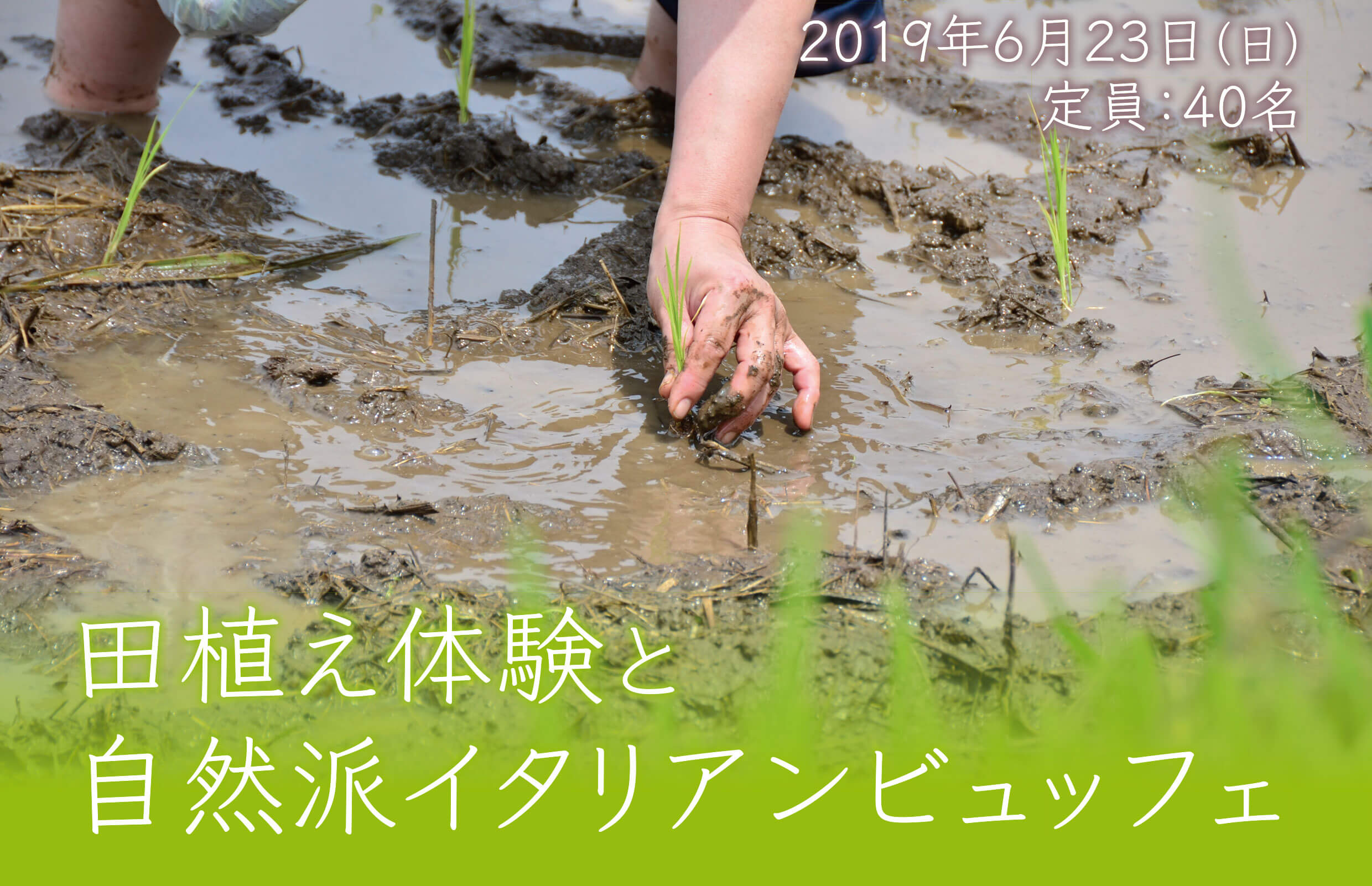 きくち村田植えイベント