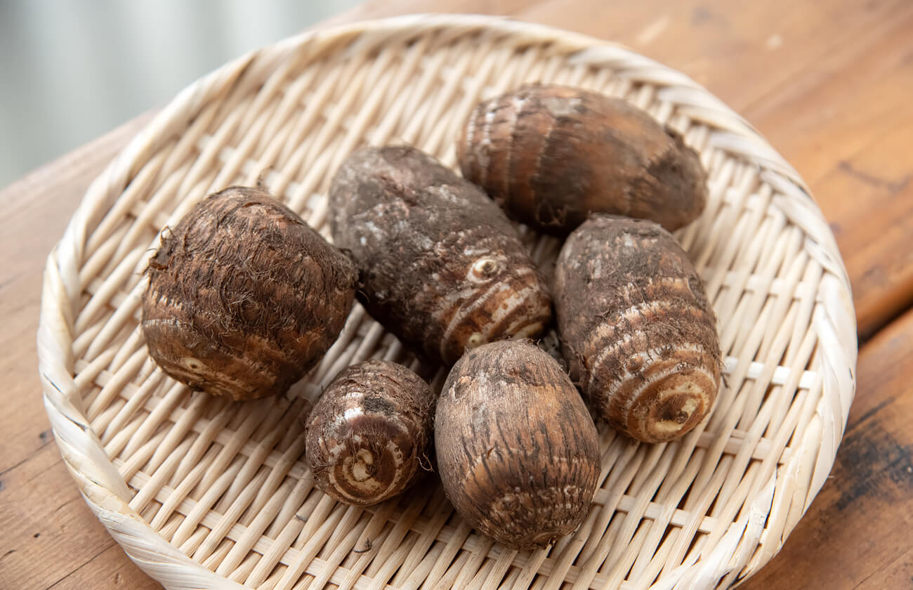 ������Τ��