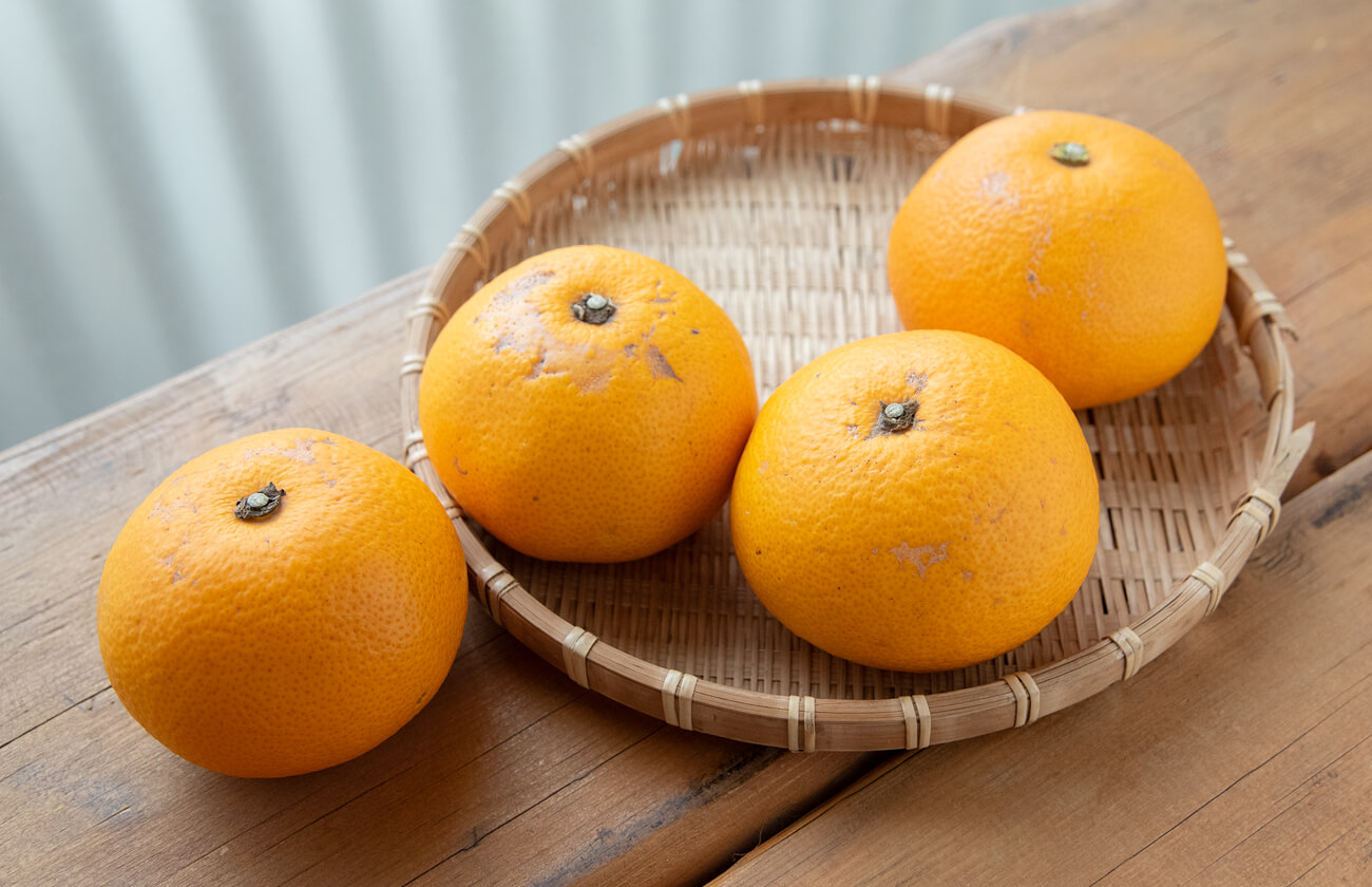 野村いろは農園の甘夏みかん(農薬・化学肥料不使用) 1kg - 自然派きくち村