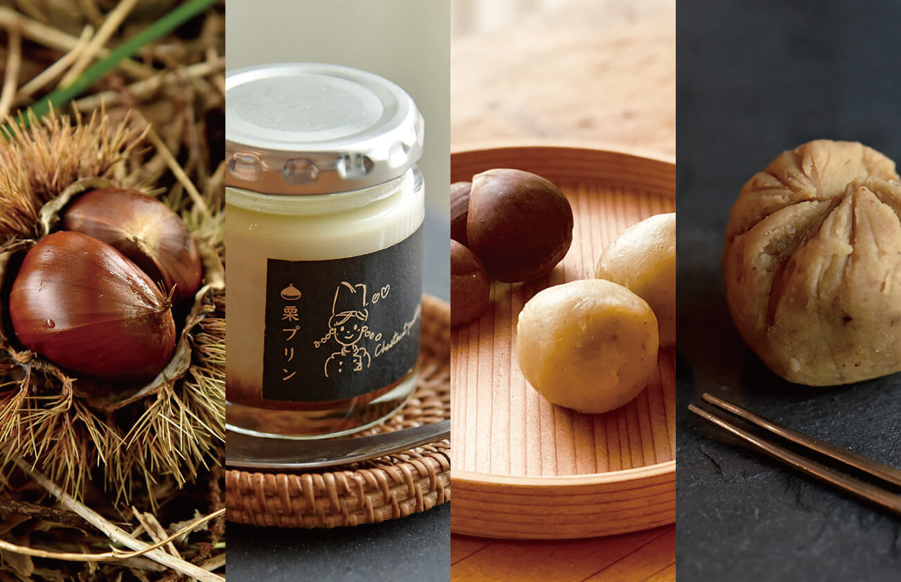 自然栽培 農薬不使用 肥料不使用 米 野菜 通販 自然派きくち村