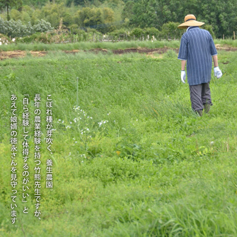 菊池養生園伝承館