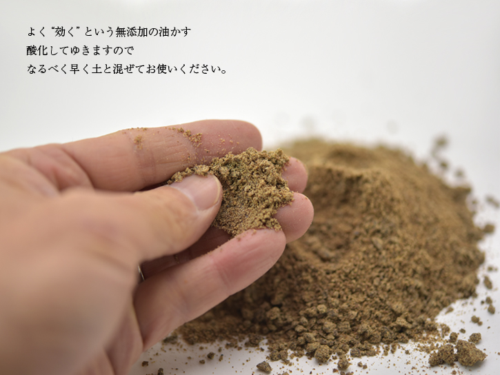 なたね油の油かす