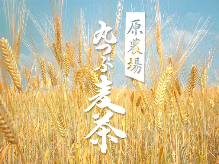 原農場の麦畑