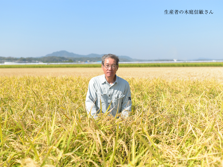 田圃の中の木庭さん