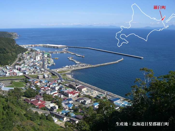 羅臼の街