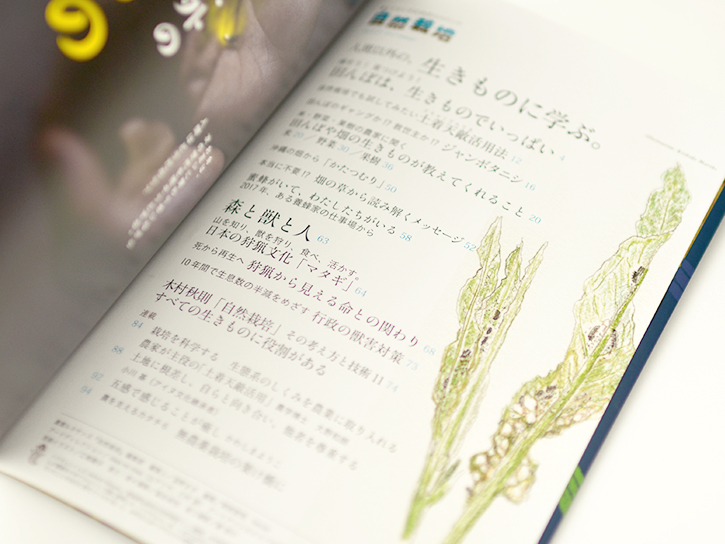 もくじの内容