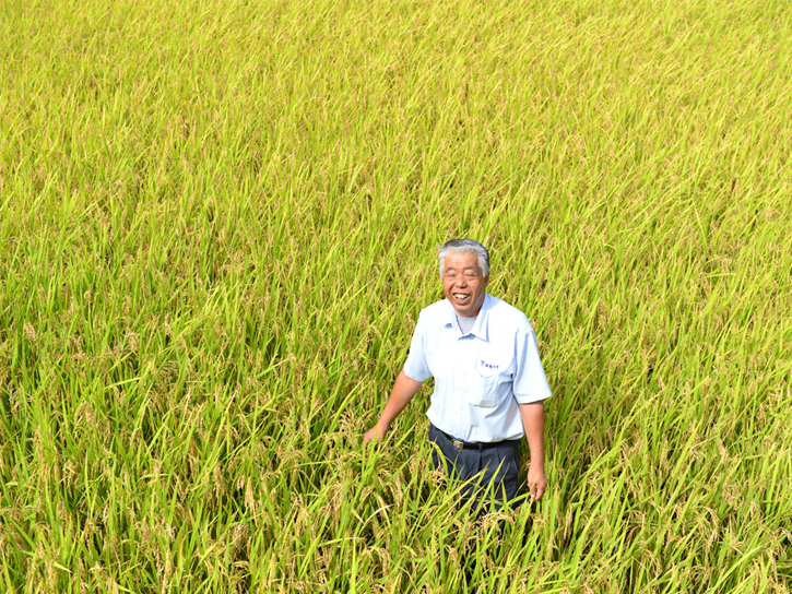 熊本県南阿蘇村、緒方孝行さんの自然栽培の田んぼ