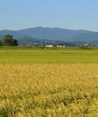 七城町の風景