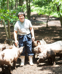 武藤さんと豚たちは仲良し