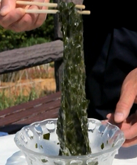 海の納豆クロメ