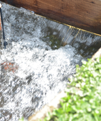 きれいな水が流れる環境