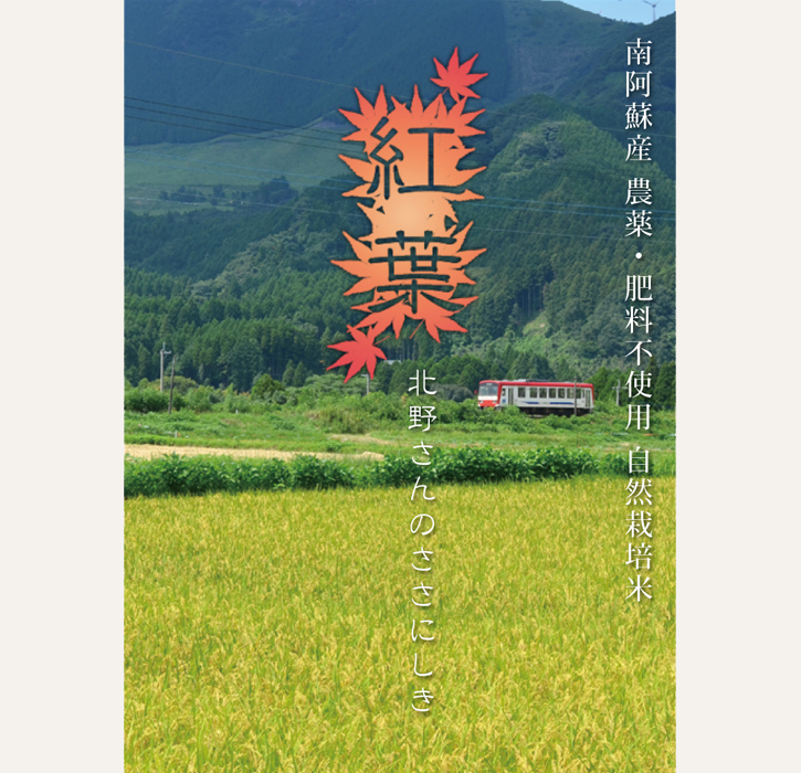 自然栽培米「紅葉-くれは-」の写真