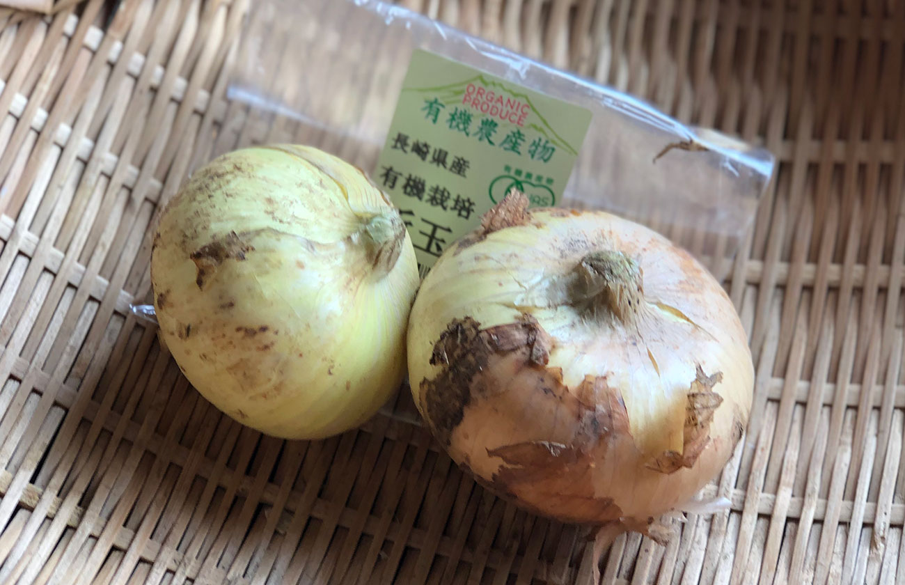 肥後やまと会 新玉ねぎ